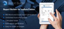 Report Builder Addon for wpDataTables