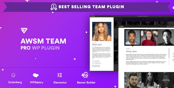 The Team Pro Team Showcase Plugin