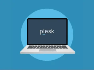 How to increase max_input_vars in Plesk