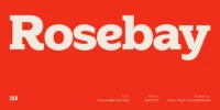 Rosebay Slab Premium Font