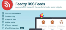 Feedzy RSS Feeds