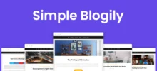 Simple Blogily Superb Themes