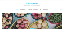 EnjoyStyle Pro