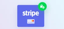 Director Stripe Payment