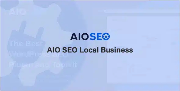 AIO SEO Local Business Addon