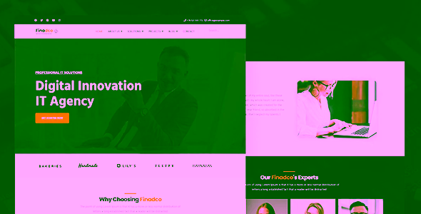 Finadco Joomla Business Consulting Service Template