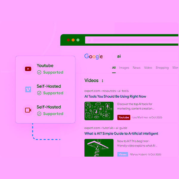 AIO SEO Video Sitemap 03