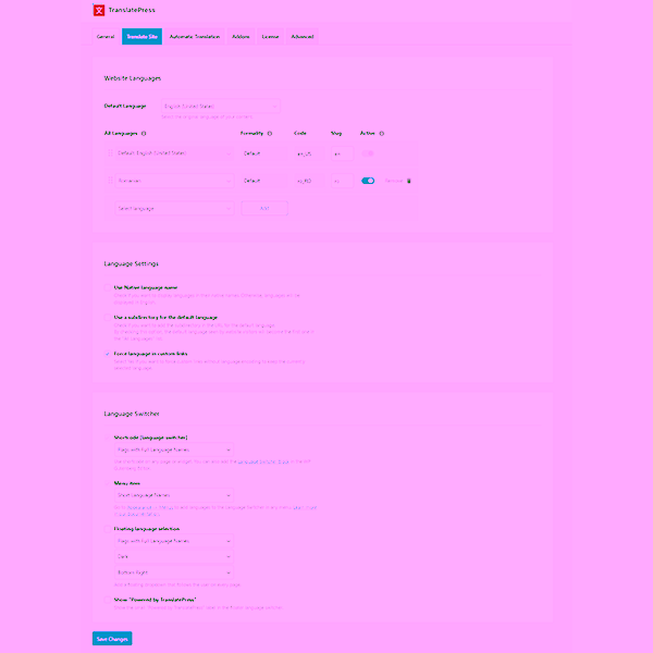 Translatepress Pro Plugin 03