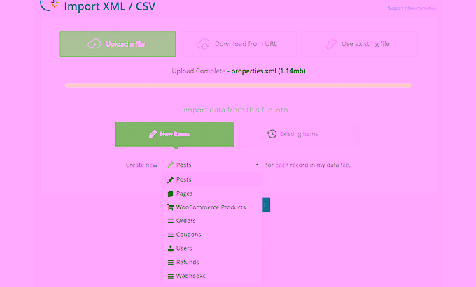 WP All Import Pro 02