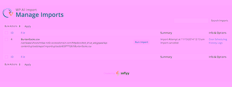 WP All Import Pro 03