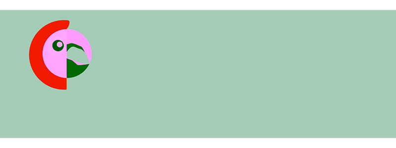 Polylang Pro 01