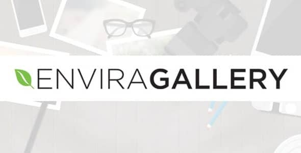 Envira Gallery Search Addon